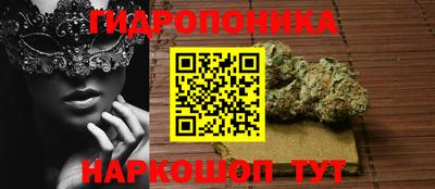 прущие крисы Кимры