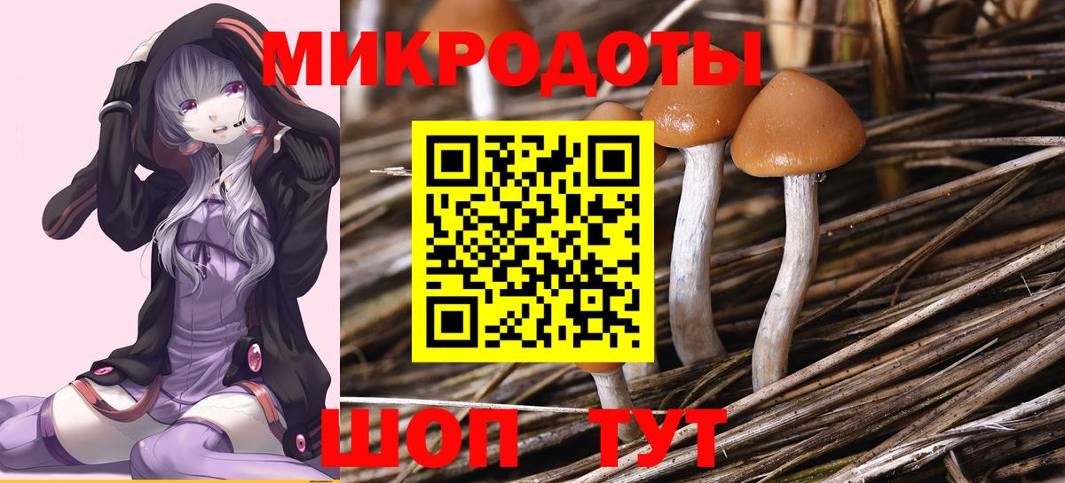 купить наркотики цена  Псилоцибиновые грибы ЛСД  Псилоцибиновые грибы мухоморы  Вход с VPN  Касимов 