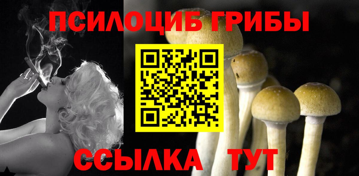 Псилоцибиновые грибы ЛСД Касимов